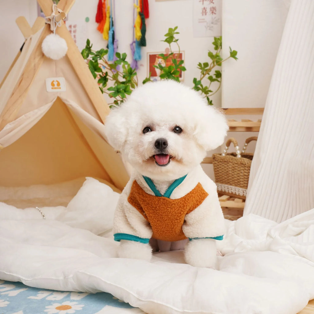 Lambswool pet sweatshirt in caramel colour with Berber fleece thickened construction for autumn winter wear