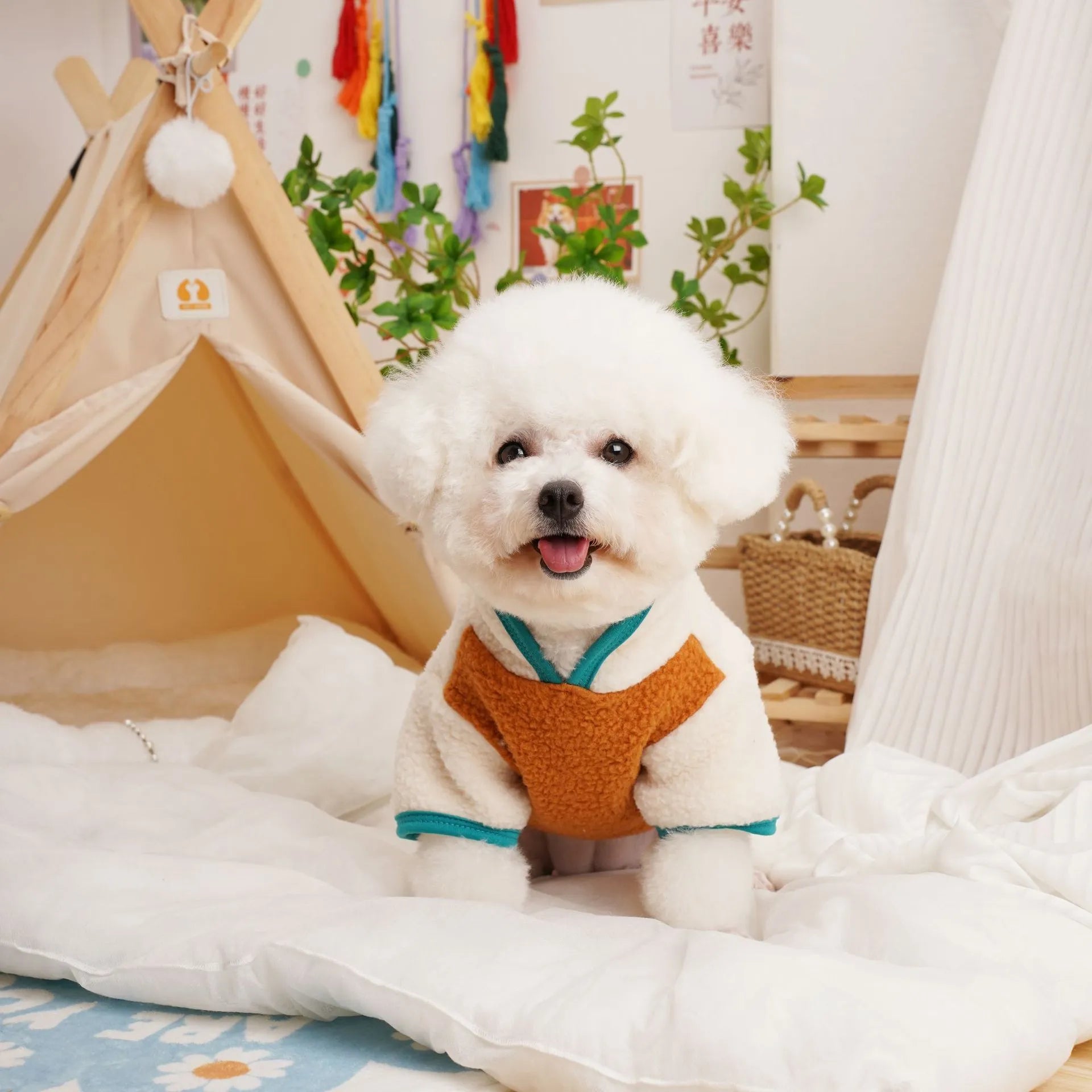 Lambswool pet sweatshirt in caramel colour with Berber fleece thickened construction for autumn winter wear