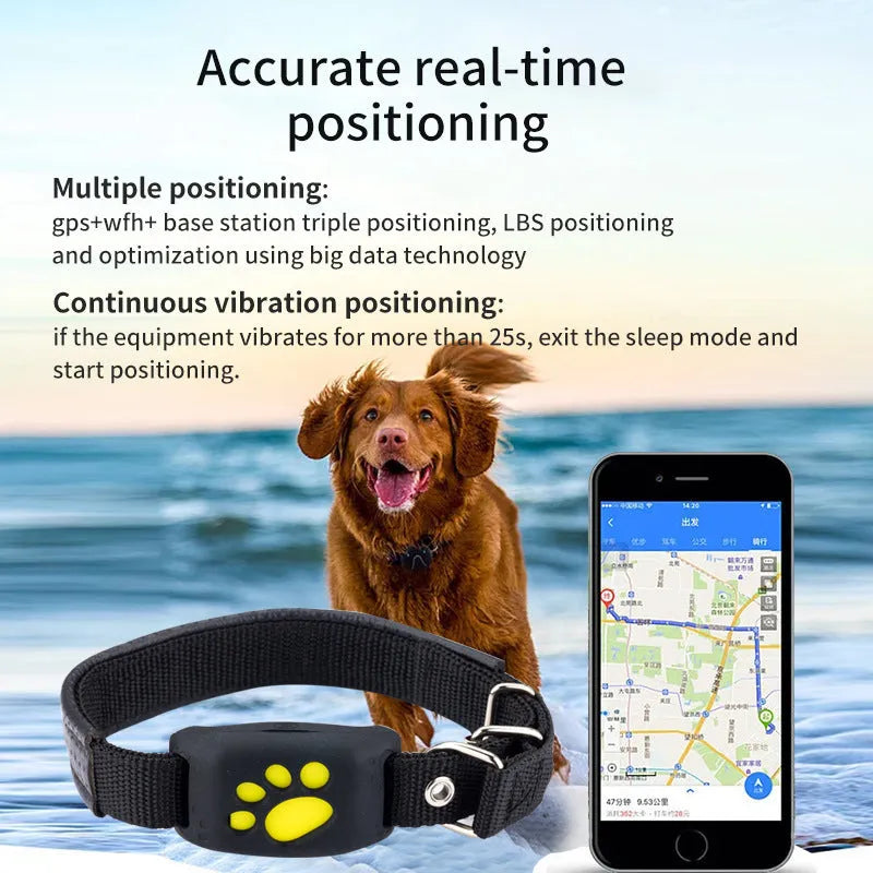 Waterproof GPS pet tracker device in multiple colours showing compact size