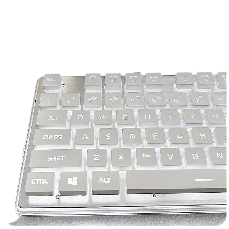 Wired mute computer keyboard with mechanical feel in Metal Black colour with blue backlighting on a desk.