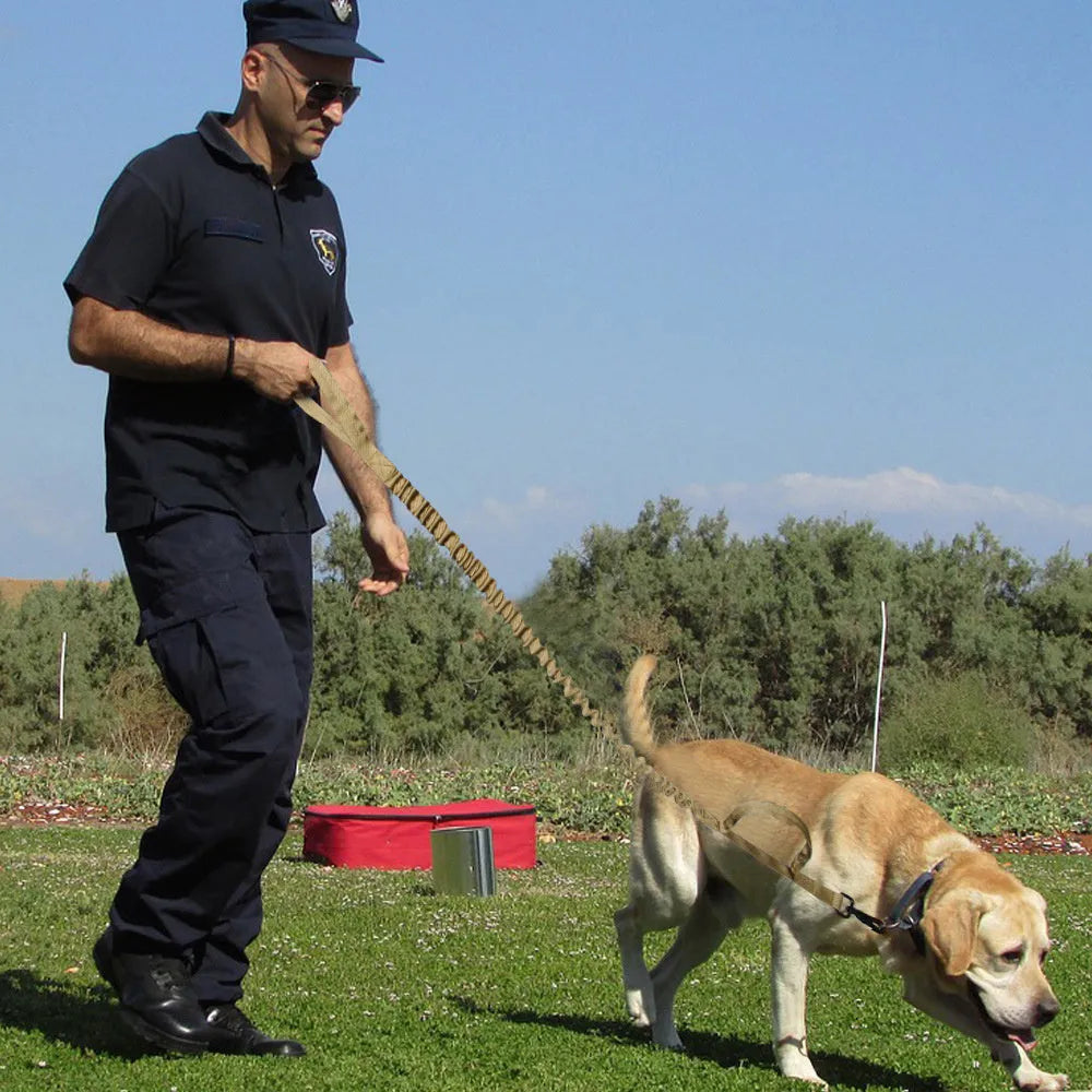 Tactical dog leash and matching collar in heavy-duty nylon with reflective stitching, available in four colour options for medium to large dogs