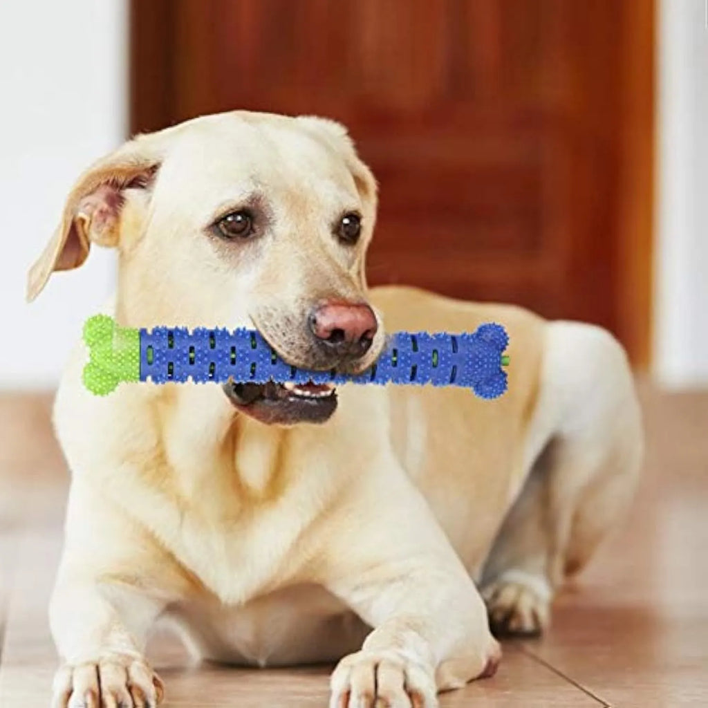 Blue-green molar-shaped dog dental chew toy with silicone bristles for teeth cleaning