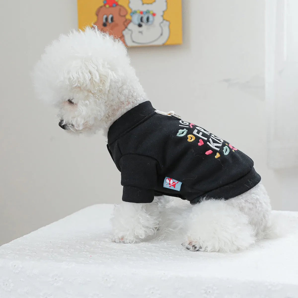 Casual grey patterned dog sweater for autumn and winter wear, shown in size L.