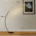 C-type fishing RGB LED floor lamp with aluminium body and 2.4G remote control in black finish