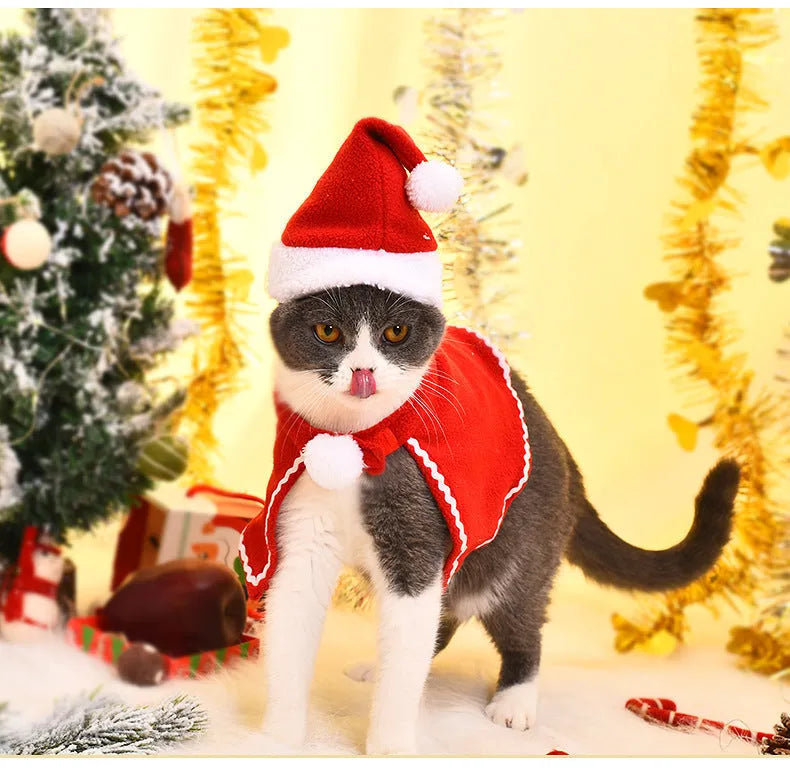 Red polyester pet Christmas suit with hat and cloak for cats and dogs, woven plain weave, embossing, sizes S M L