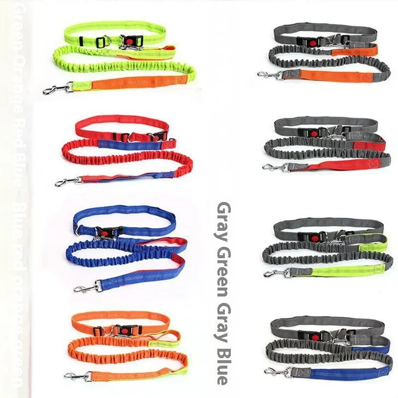2.5cm wide elastic dog leash with reflective filament for night walking in blue and red colour combination