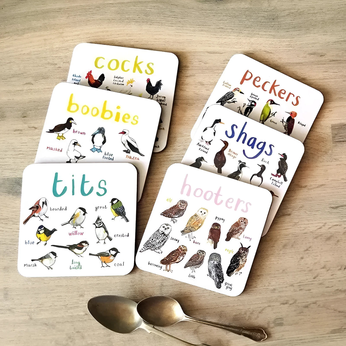 Square bird pun coasters, PVC drink mats 10x10x0.35 cm, 6 or 12 piece set with bird charts.