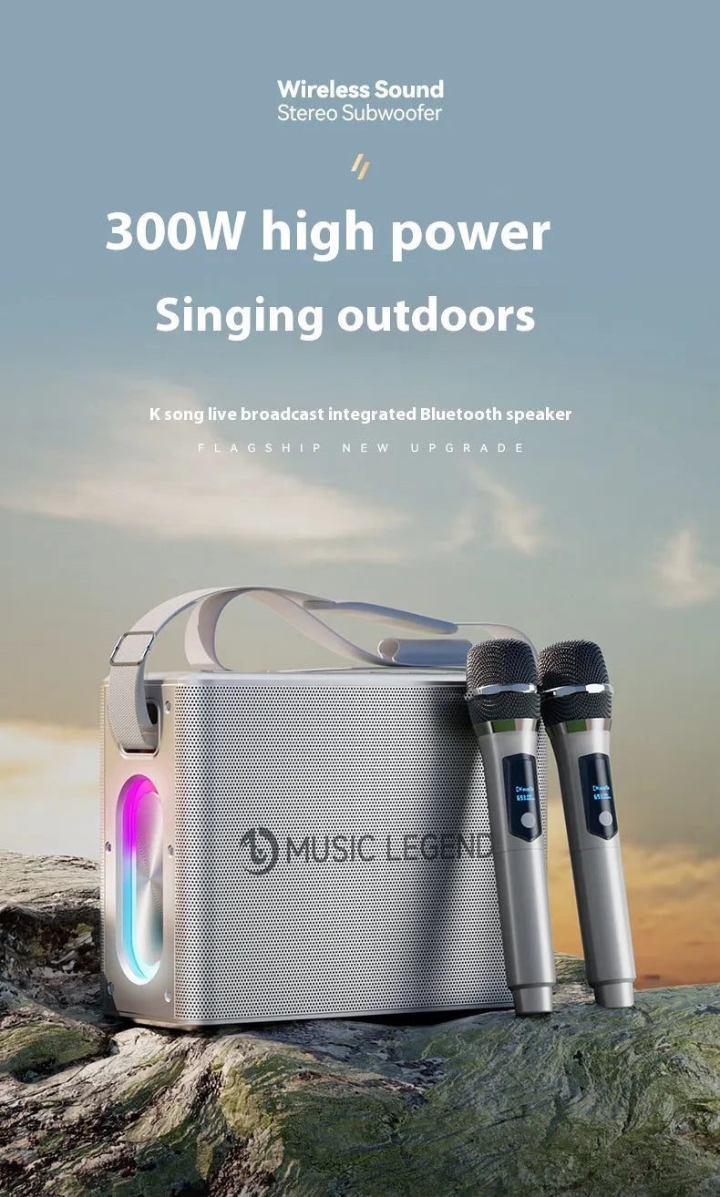 High-power outdoor karaoke Bluetooth speaker with dual microphones, 100W, waterproof, V60 black