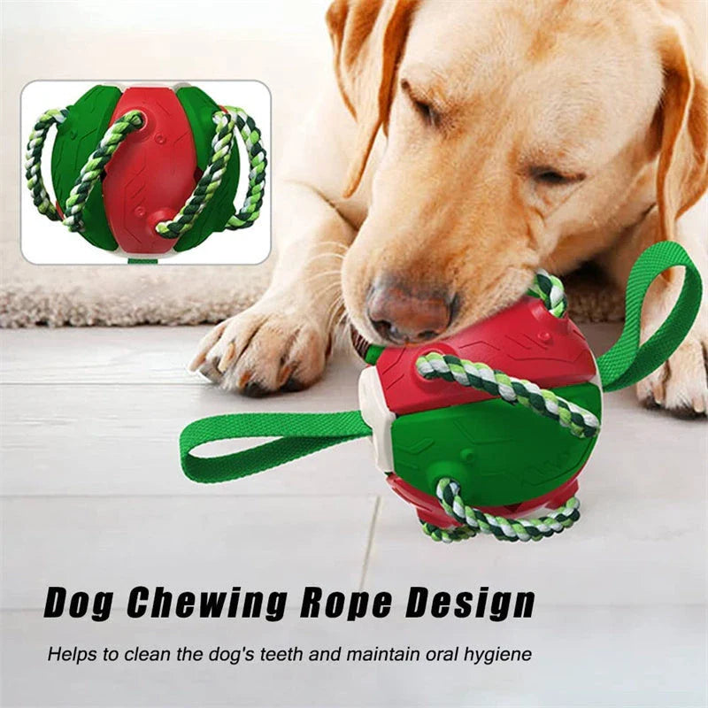 Interactive dog toy that transforms from a ball to a frisbee, engaging your pup's natural instincts and providing endless outdoor fun.