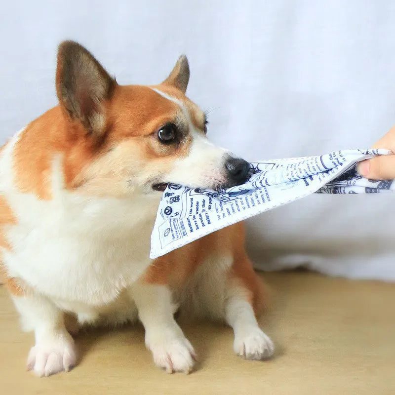 Tearproof dog toy with simulated newspaper design for medium breed chewing