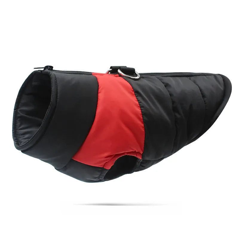 Waterproof padded dog jacket with front zipper, shown in multiple colours and sizes for small to large breeds.