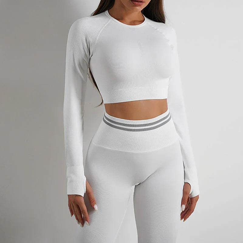 Premium seamless activewear collection featuring nylon tops, leggings, and suits in various colors