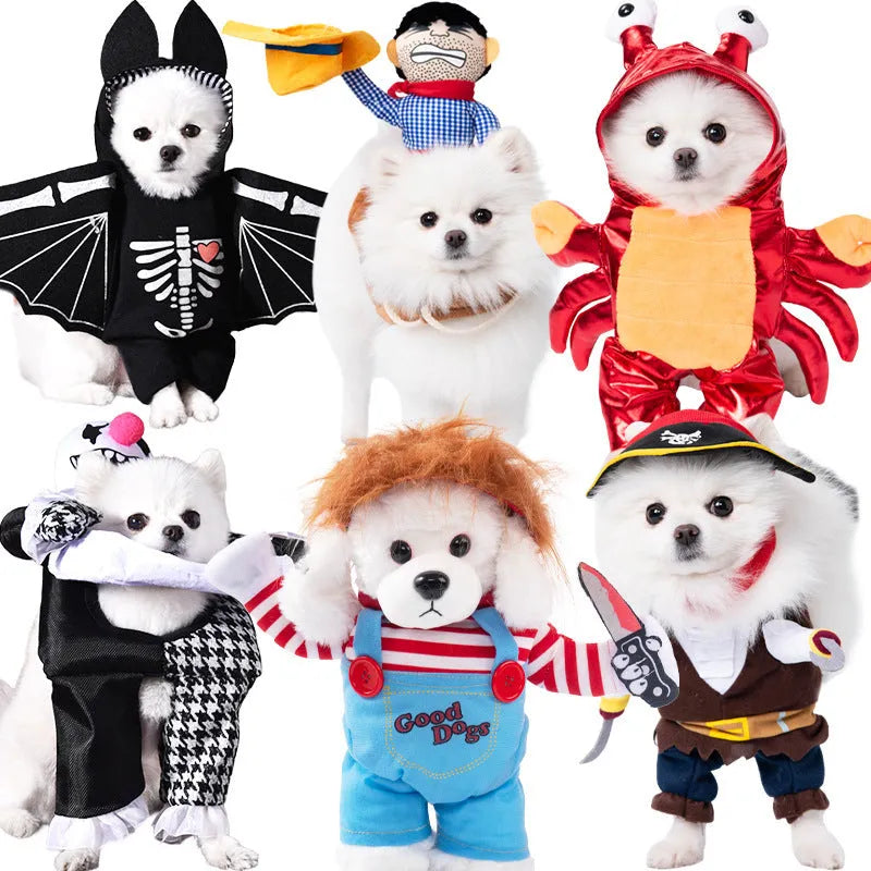 Halloween dog costume collection showing multiple themed outfits including bat suit and devil costume designs