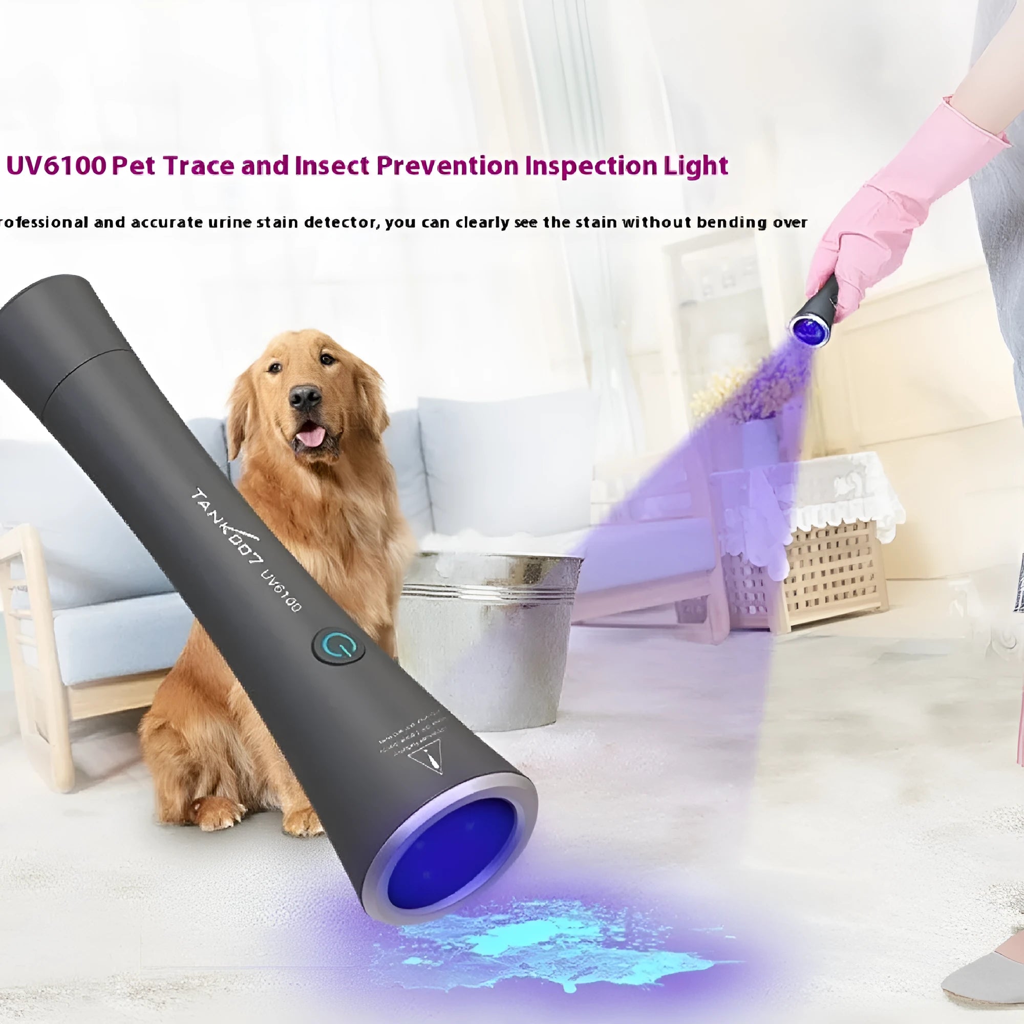 Black aluminium UV flashlight for pet urine and insect detection with USB Type-C charging port