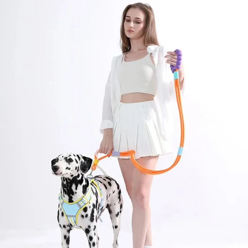 Nylon dog traction leash with a black foam handle on a coloured rope.