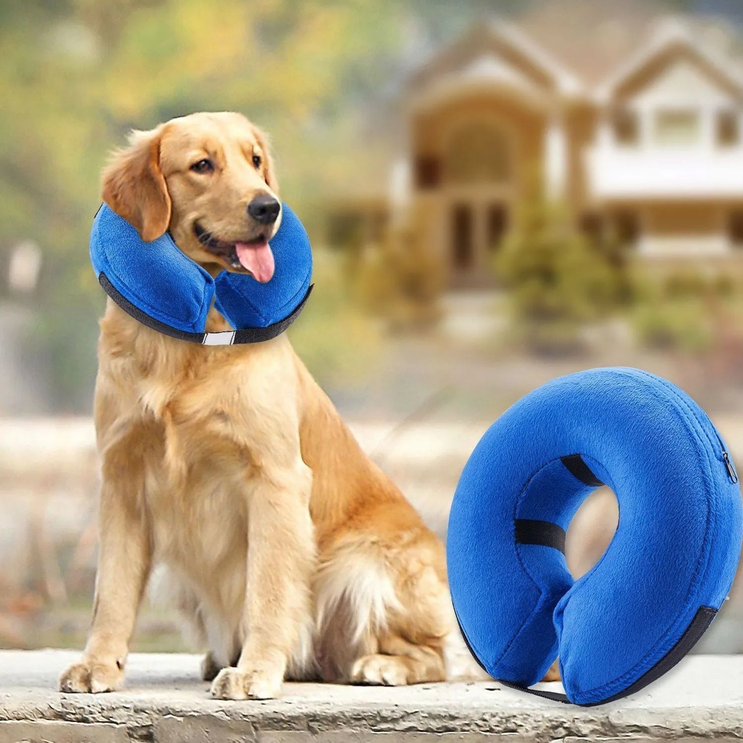 Protective inflatable collar for dogs and cats in blue, cloth and PVC construction, size S to XL
