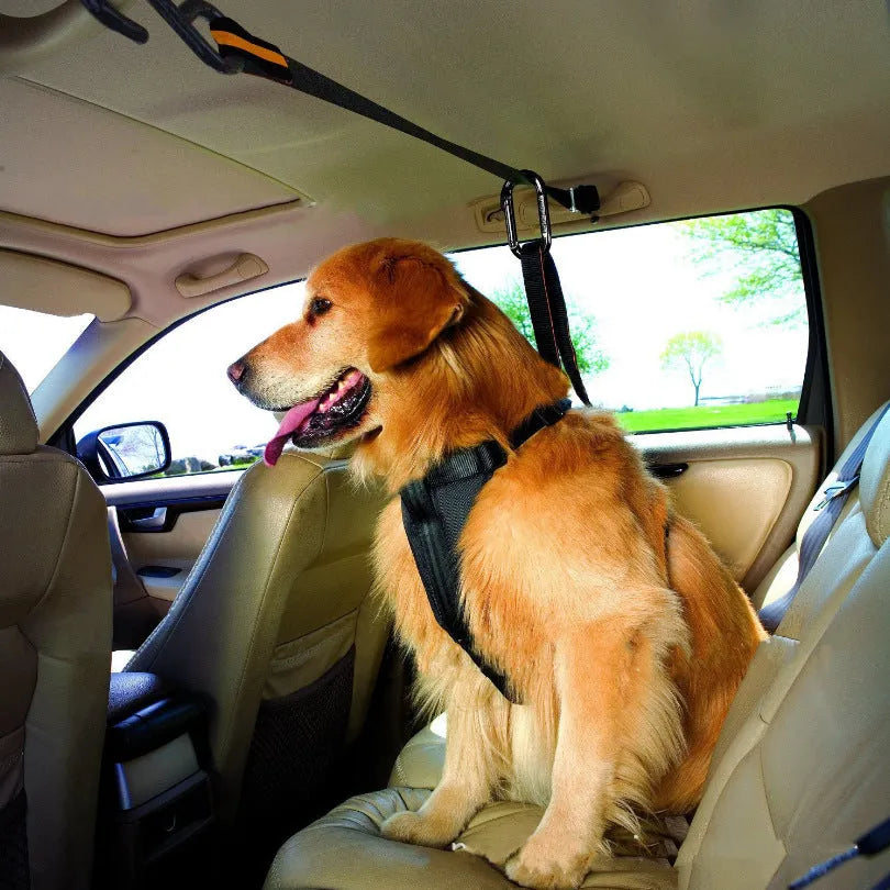 Orange nylon pet safety belt dual-purpose car lanyard and traction belt for dogs and cats