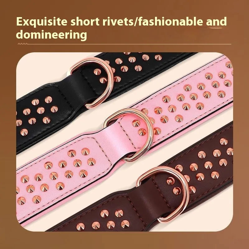 Leather dog collar with metal rivets in black, chocolate brown, or pink colour
