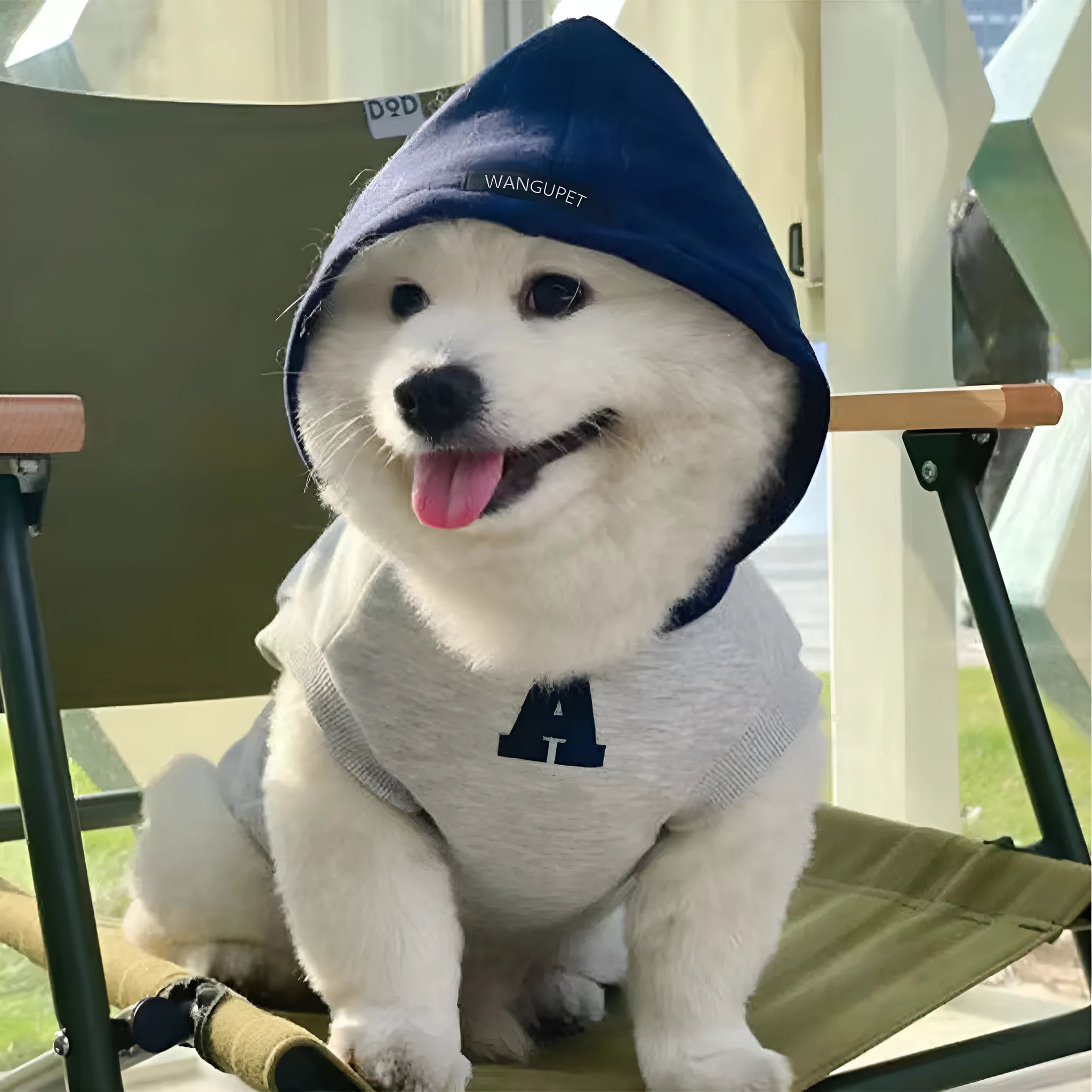 Blue and white reflective letter print slim-fitting pet hoodie for cats and dogs with elastic cuffs
