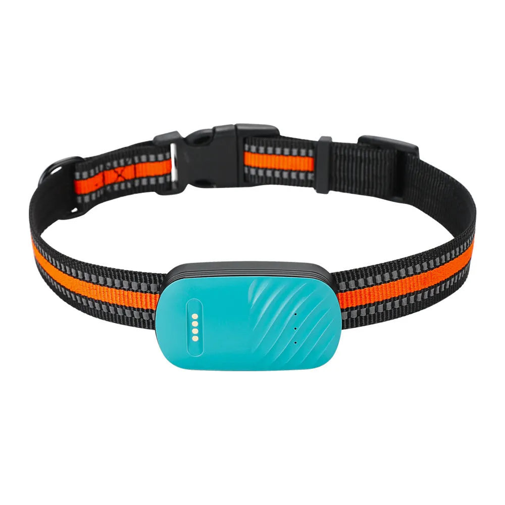 Blue and orange pet GPS tracker with 4G LTE and SOS for dogs and cats, waterproof collar mount