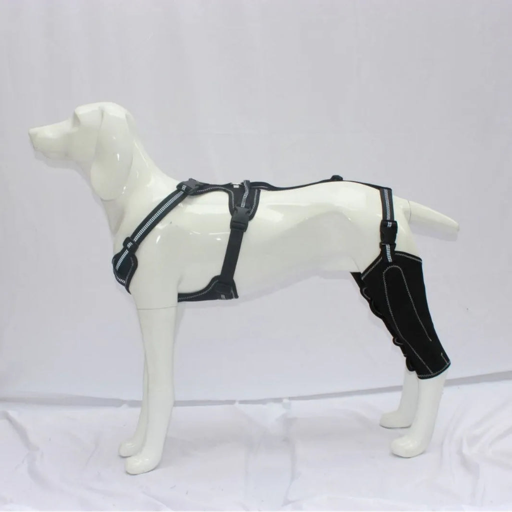 Black dog thigh protective sleeve with adjustable metal support for postoperative care