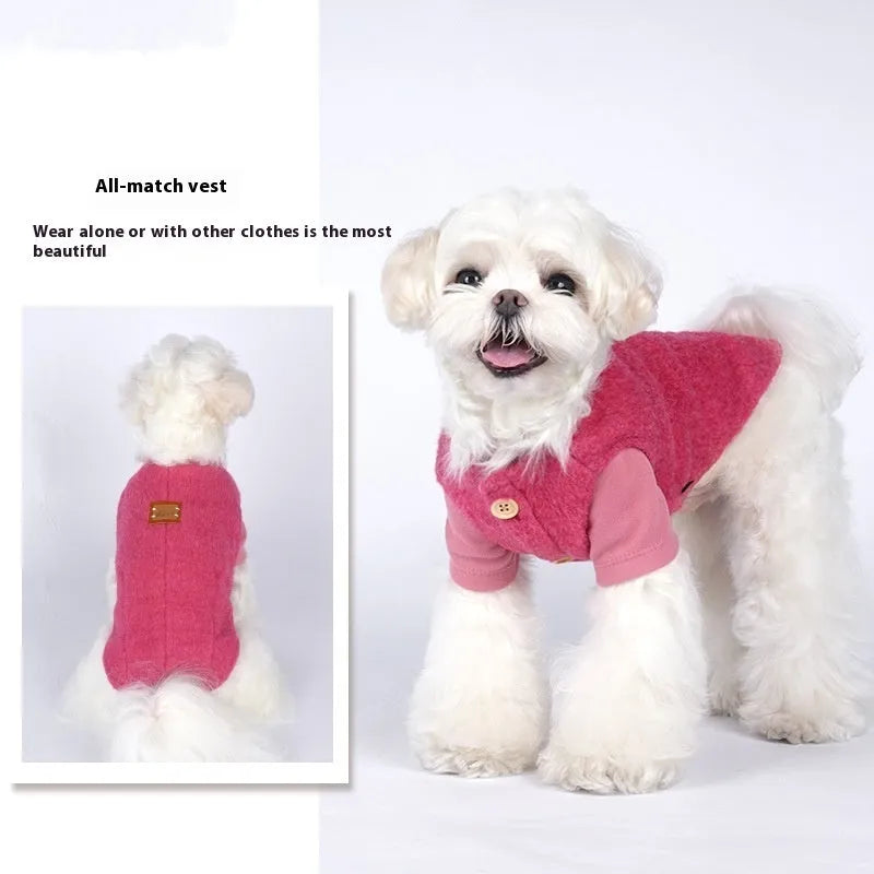 A small dog wearing a blue cotton Korean cashmere vest, a type of casual autumn and winter pet clothing.