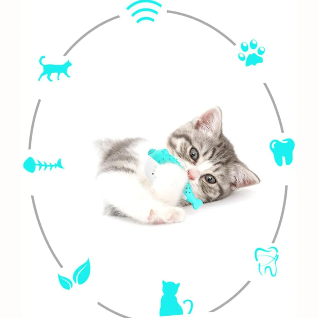 Silicone fish chew toy for cats in blue, green, pink or yellow colours