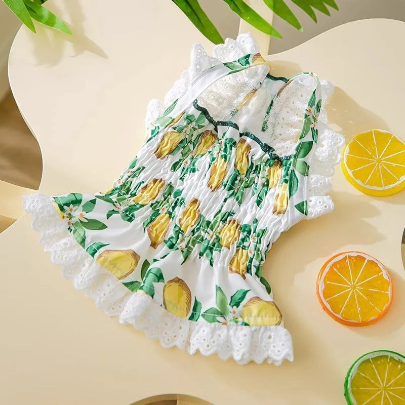 Rock yellow lemon polyester dog dress with breathable straps for small to medium dogs
