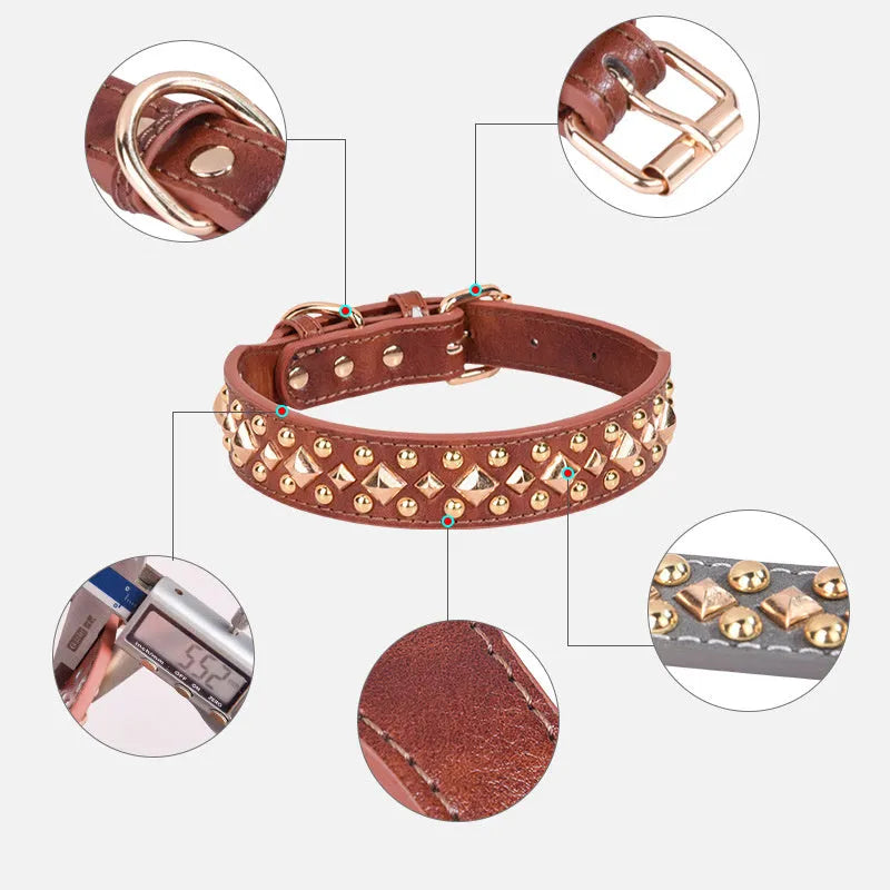 Rivet leather dog collar with golden rivet decoration in retro style, available in black brown grey green and red sizes XS to XL