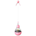 Colourful PET plastic Leaky Bear dog toy, Bulb Tumbler cat toy, and educational pet toys on a white background.