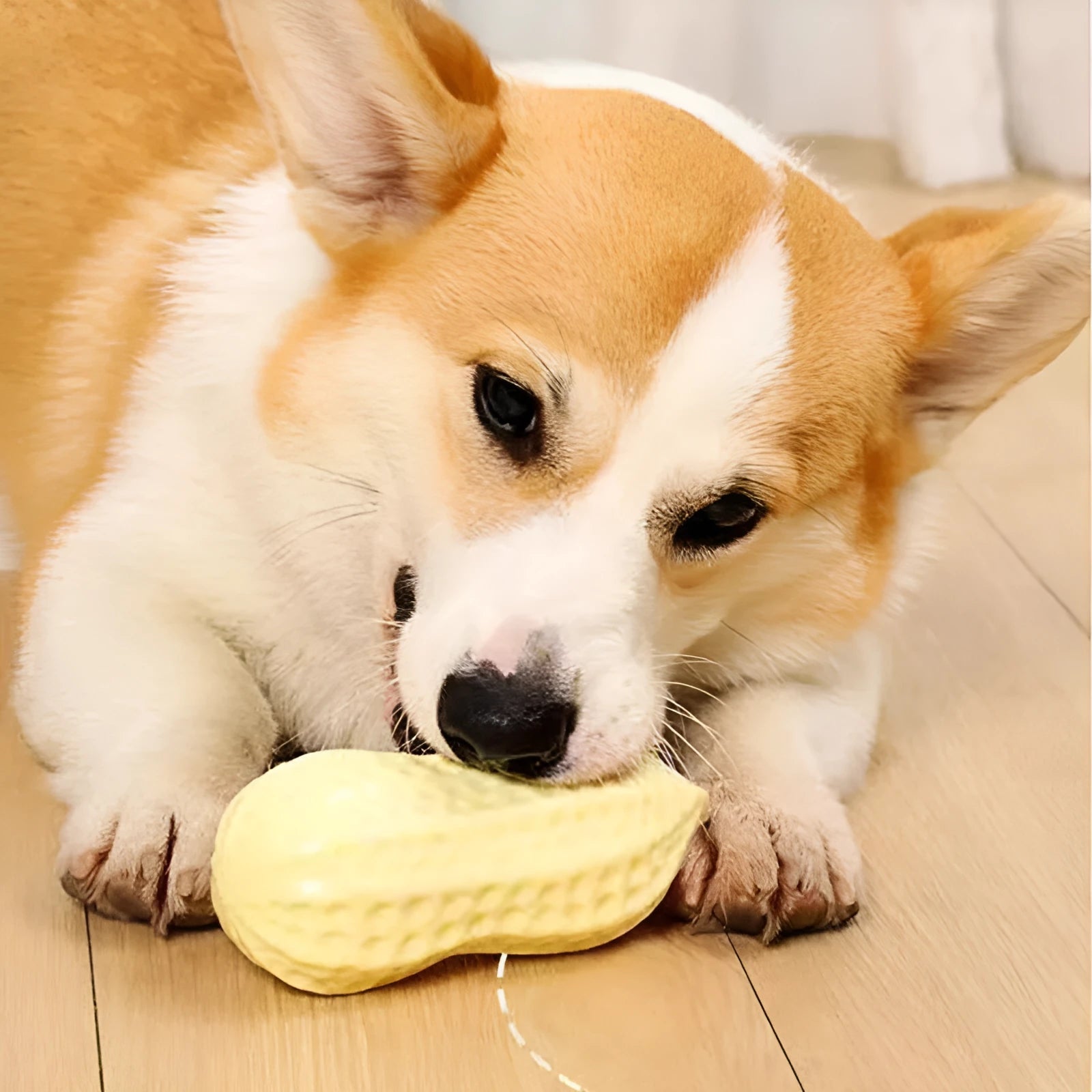 Yellow peanut-shaped dog chew toy with textured surface and squeaker for teeth cleaning and interactive play