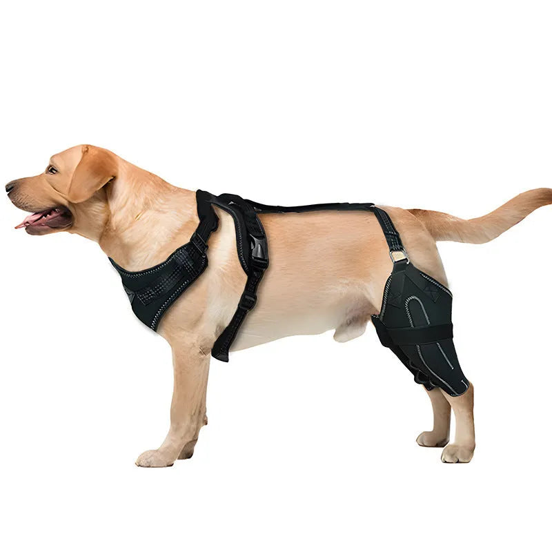 Black dog thigh protective sleeve with adjustable metal support for postoperative care