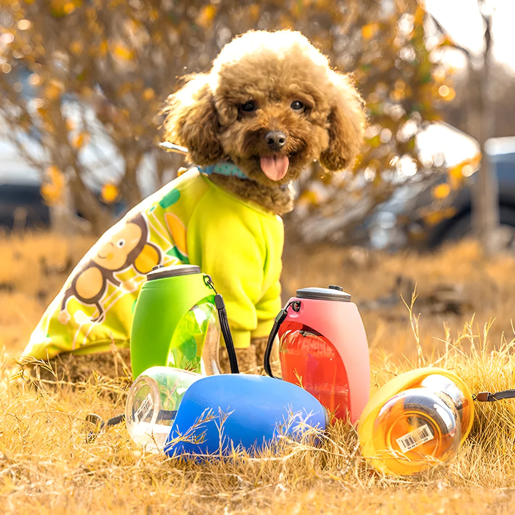 Blue plastic pet water bottle with drinking bowl showing 680ml capacity and key lock mechanism