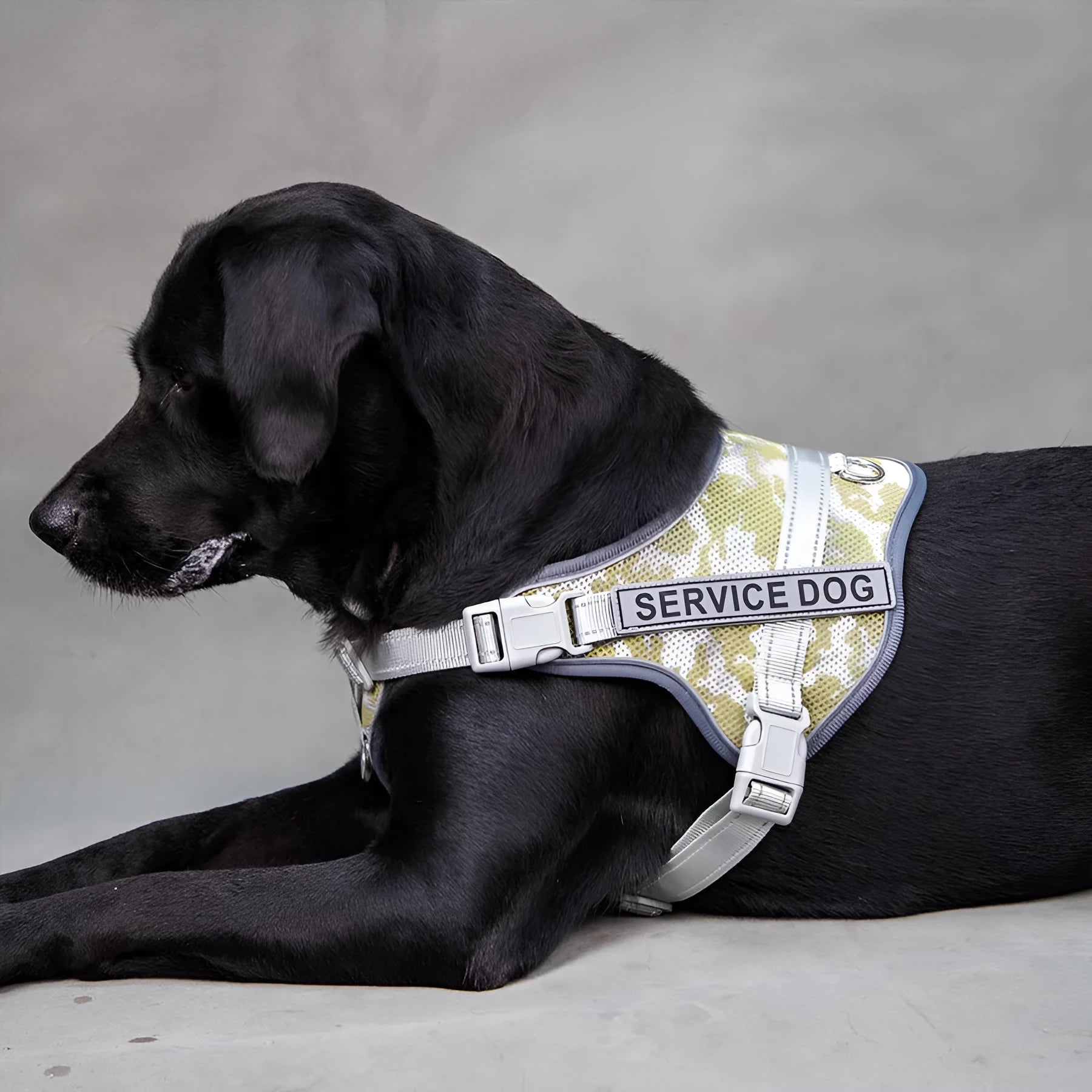 Colourful reflective pet harness with anti-strangulation neck protection in polyester material