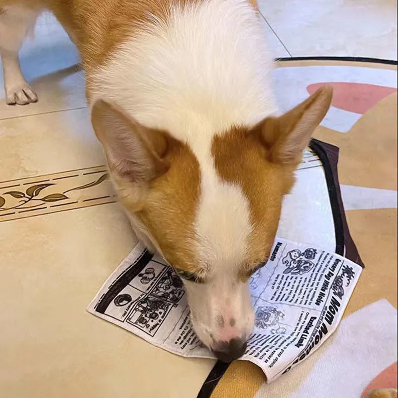 Tearproof dog toy with simulated newspaper design for medium breed chewing