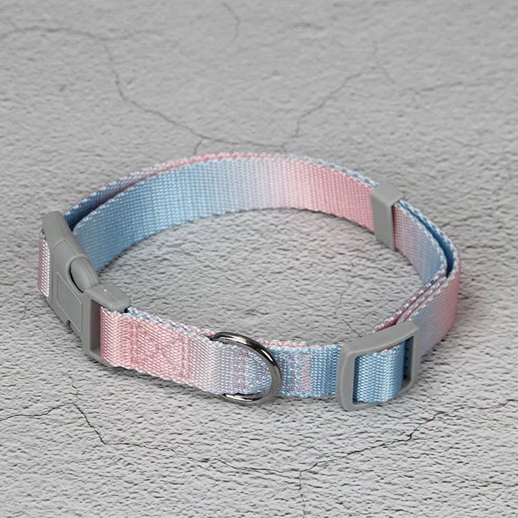 Gradient colour nylon dog leash and collar set showing blended pink, blue, yellow, purple, and green hues