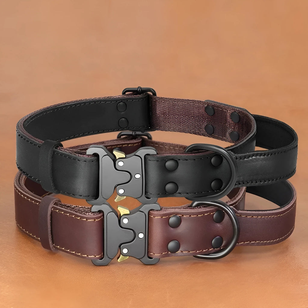 Black leather dog collar with matching explosion-proof pulling rope for large breeds