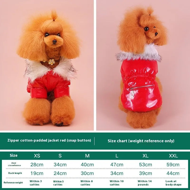 Blue British-style cotton dog jacket on a pet, showing winter coat design.