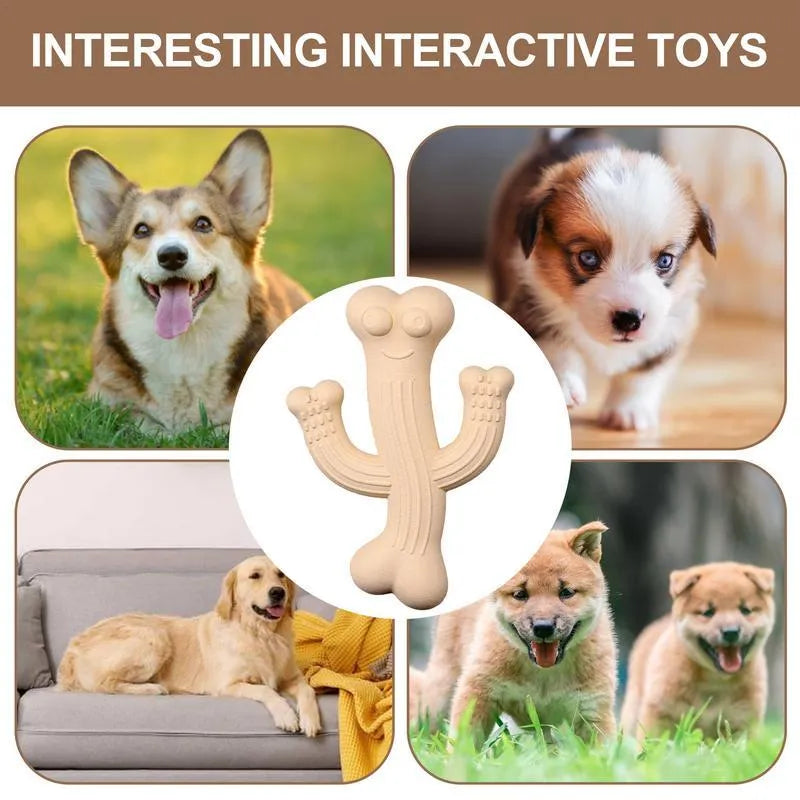 Cactus-shaped dog chew toy in beige, blue, or purple colour, shown in small and large sizes.