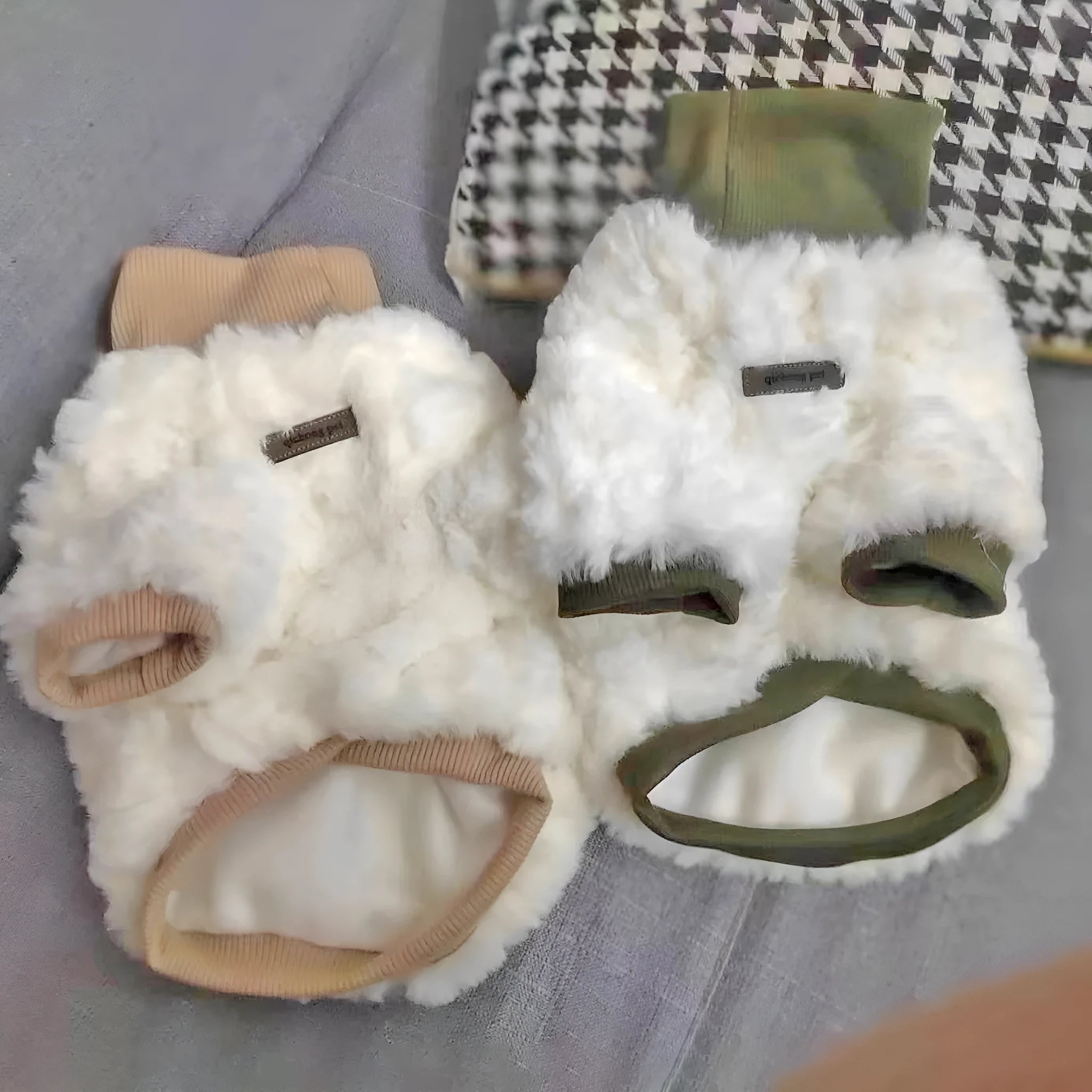 Creamy green turtleneck plush dog coat on a small dog, showing high collar design