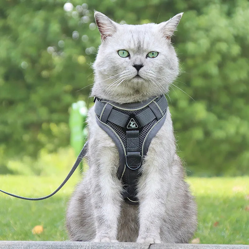 Anti-breakaway cat harness and 1.5m flat rope lead set in green on a grey background