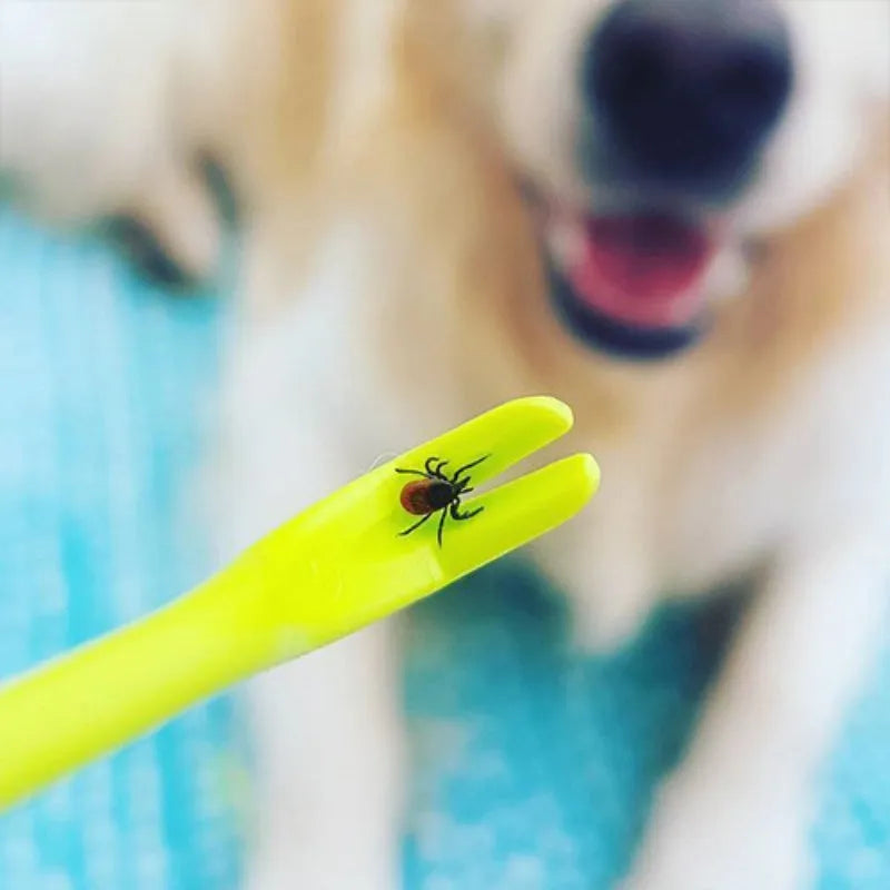 Blue and green plastic pet tick removal tools with hook design for cats and dogs