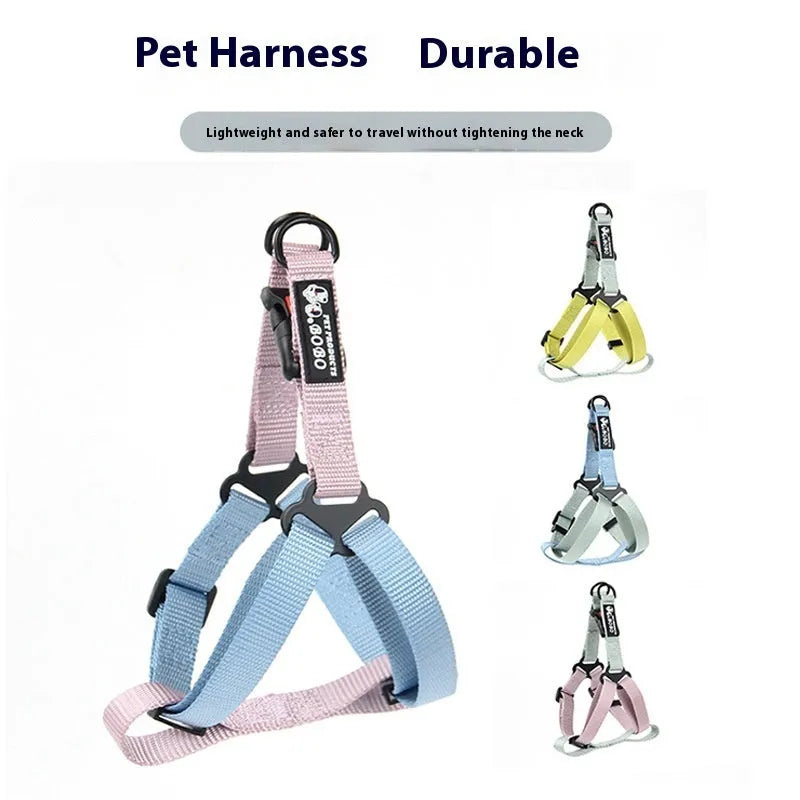 Nylon dog breast strap with hand holding rope in green blue colour on a white background