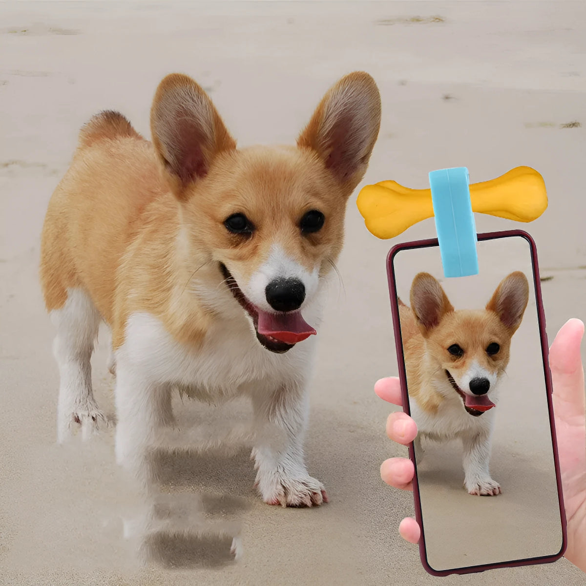 Silicone pet selfie camera lens clip in blue or pink, a sounding toy for cat and dog photos
