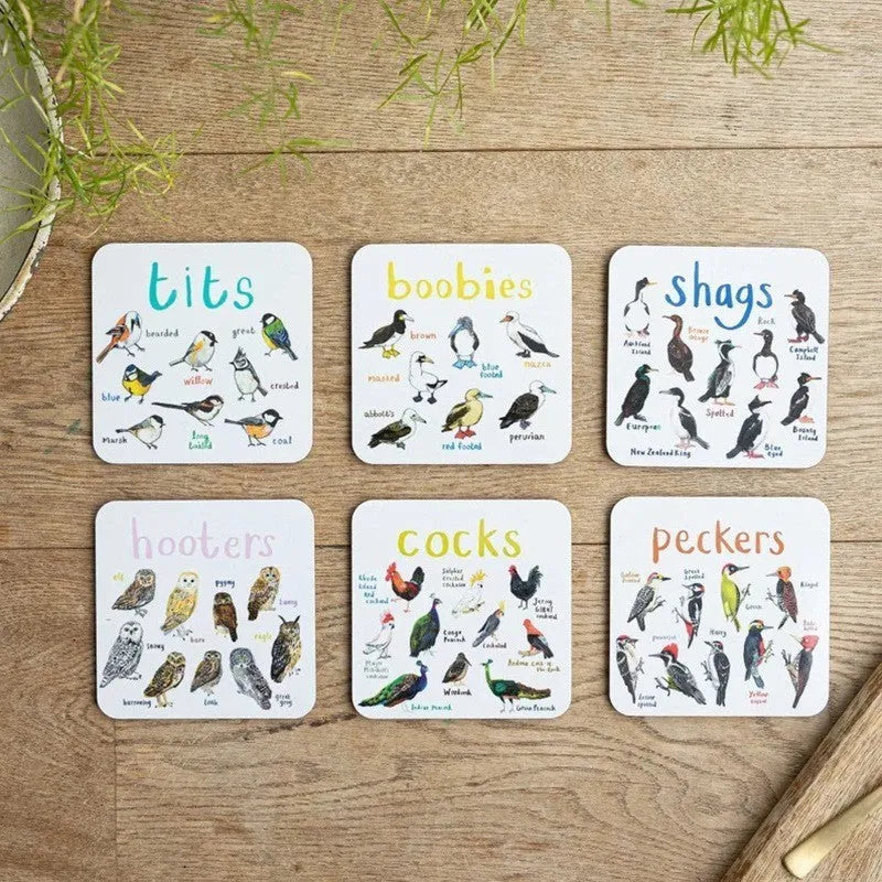 Square bird pun coasters, PVC drink mats 10x10x0.35 cm, 6 or 12 piece set with bird charts.