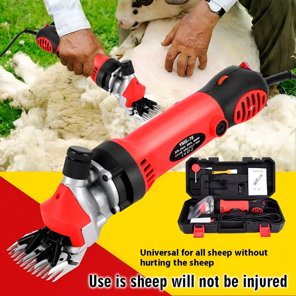 Yellow electric wool shearing clippers with 110V cable, multiple blade sets, and tools in a plastic storage box.