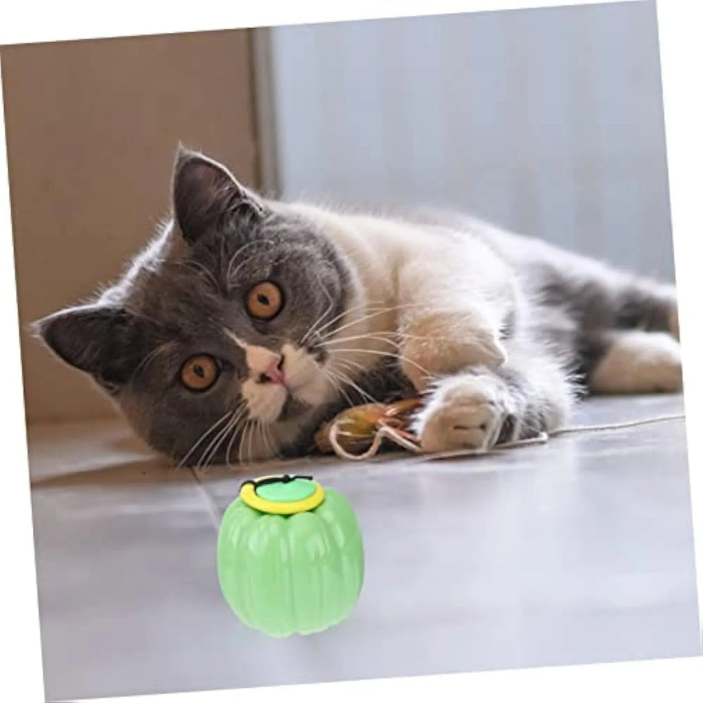Green, orange, and yellow plastic pumpkin-shaped dog ball with squeaker for small dogs.