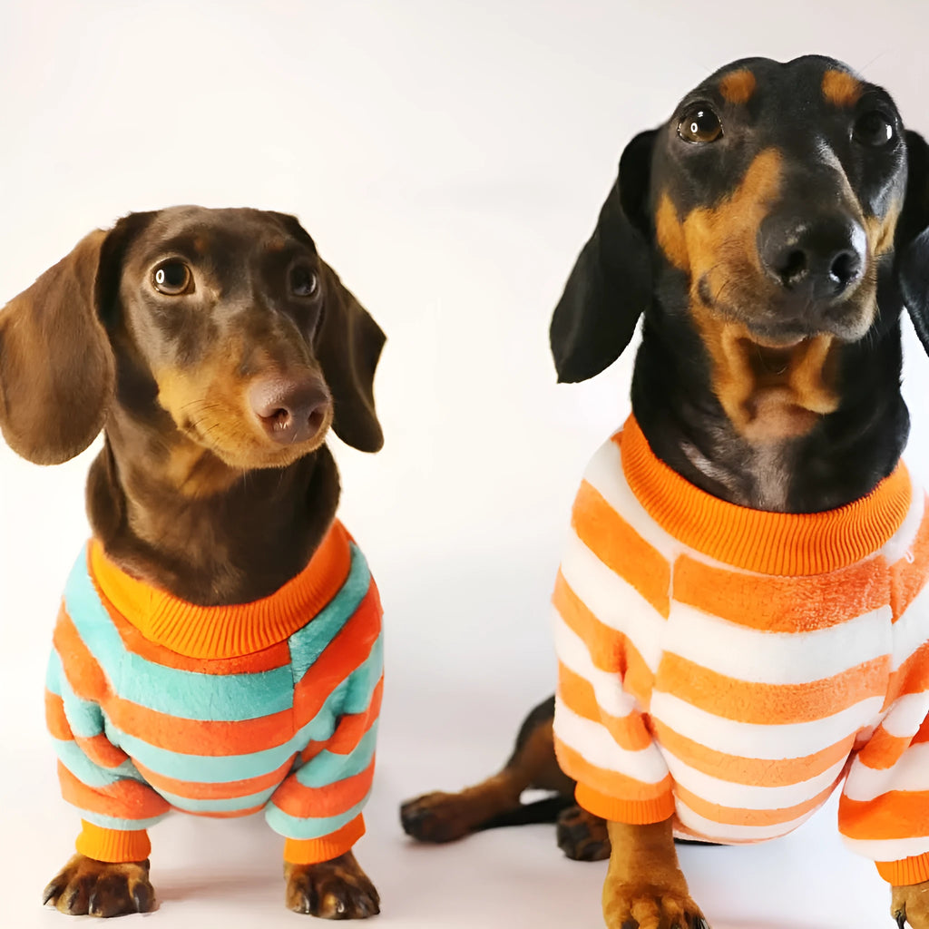 Orange red and white striped round neck casual sweatshirt for a dog or cat on a mannequin.