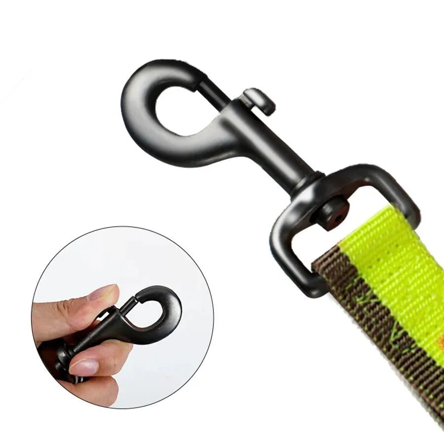 Green elastic dog training leash with metal clip for medium to large dogs