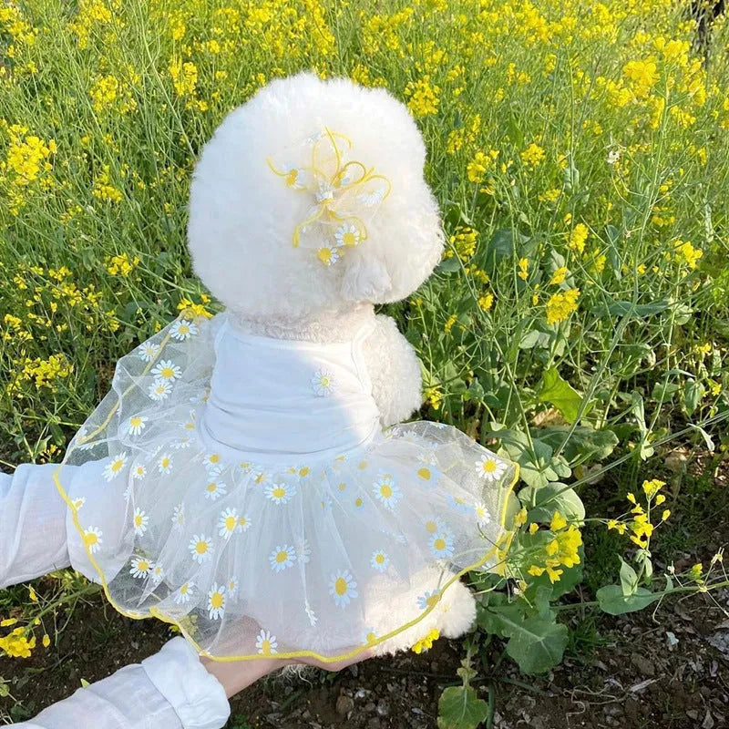 Yellow daisy pattern polyester dog clothes for summer in sizes XS to XL